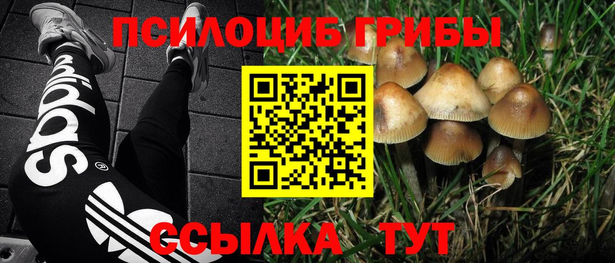 Галлюциногенные грибы Magic Shrooms Торжок