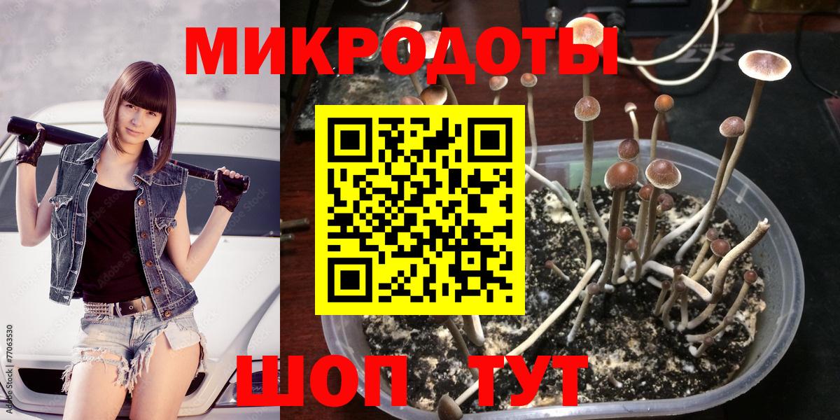 Торжок  Псилоцибиновые грибы ЛСД  Вход с VPN 